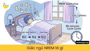 Giấc Ngủ NREM