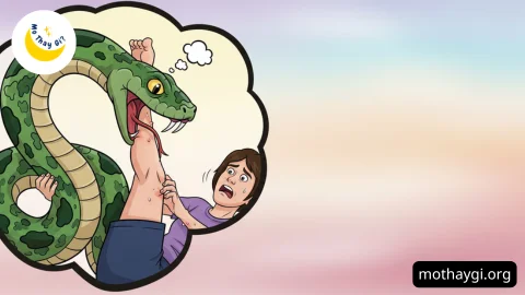 mơ thấy rắn cắn