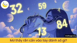 nằm mơ thấy rắn cắn vào tay đánh số gì