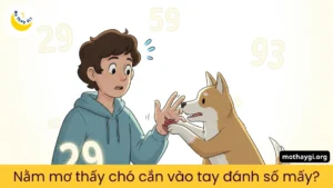 nằm mơ thấy chó cắn vào tay đánh số gì